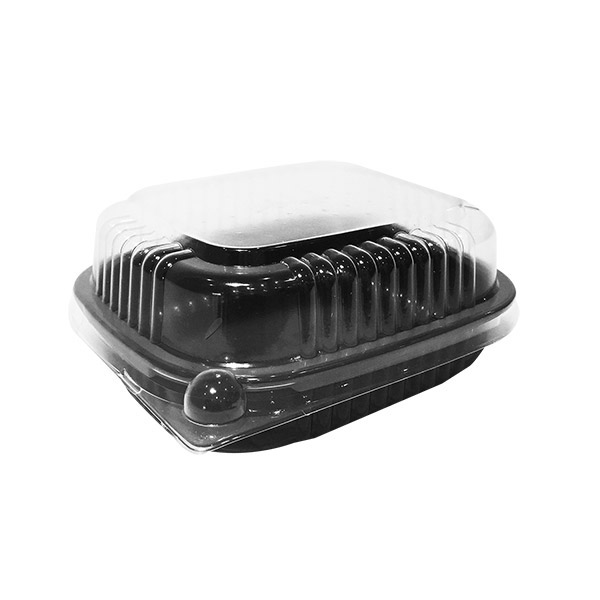 BANDEJA BASE Y TAPA CLEAR CP752 1/200
